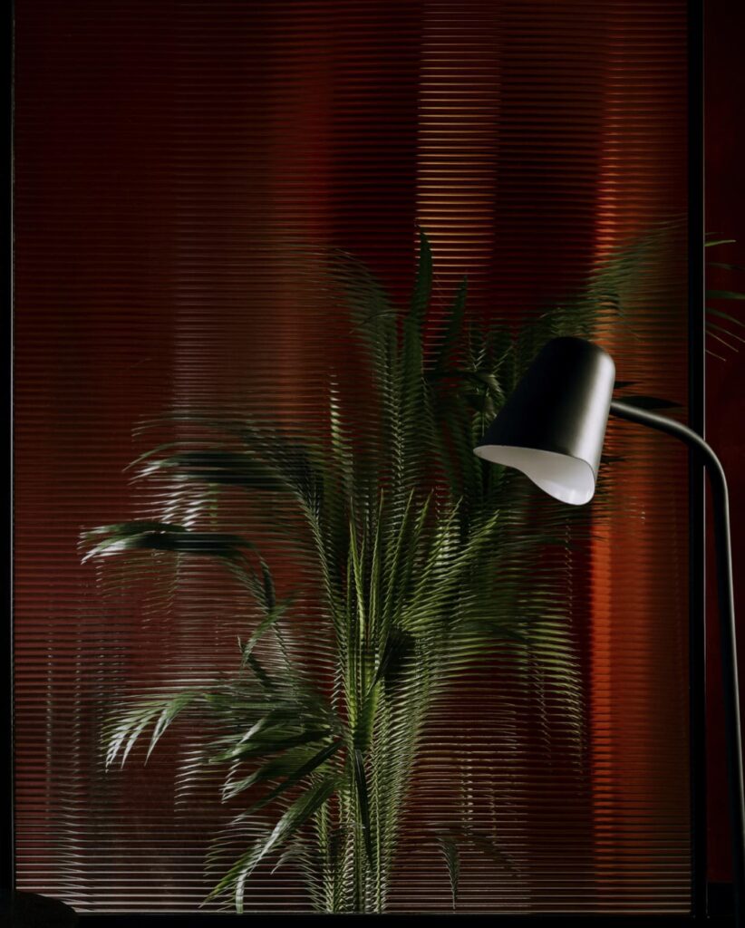 Lush Tropical Plant With Sleek Lamp Illuminating The Scene