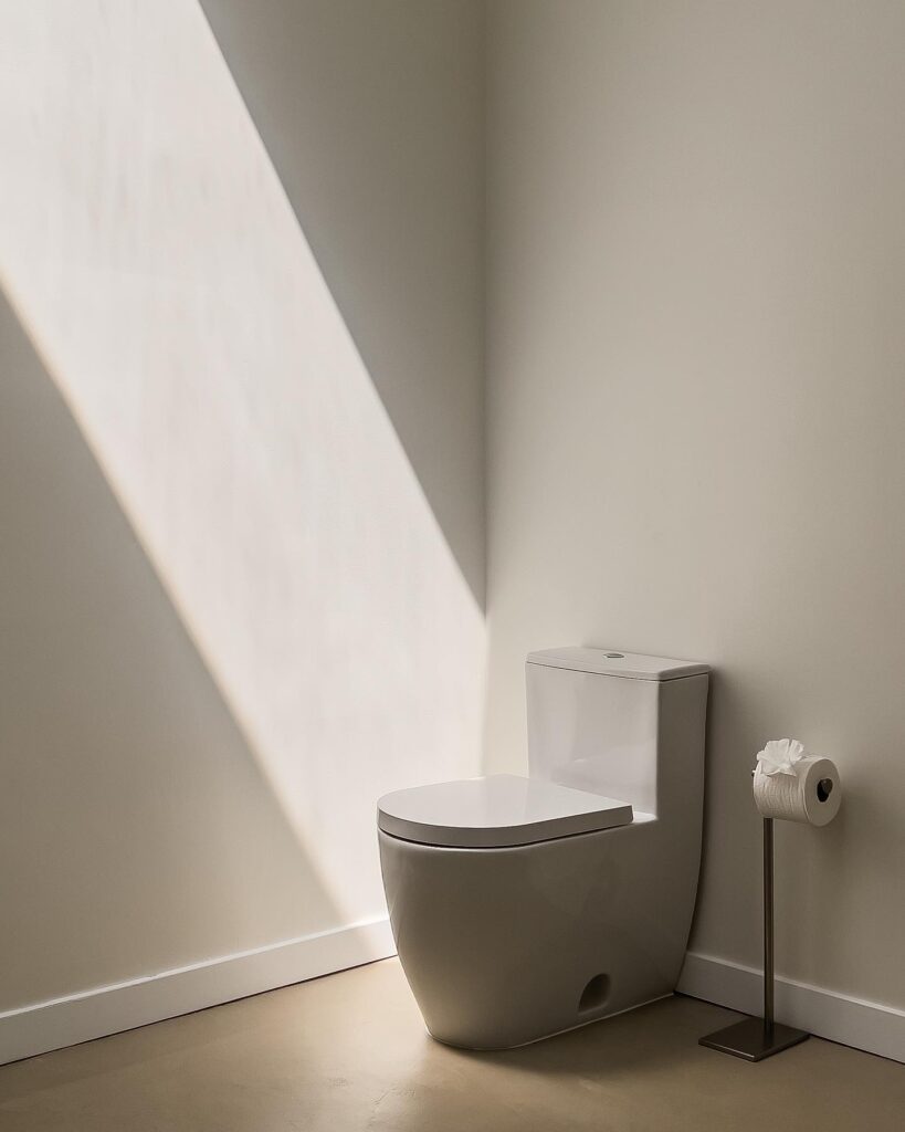 Minimalist Toilet Design in a Bathroom