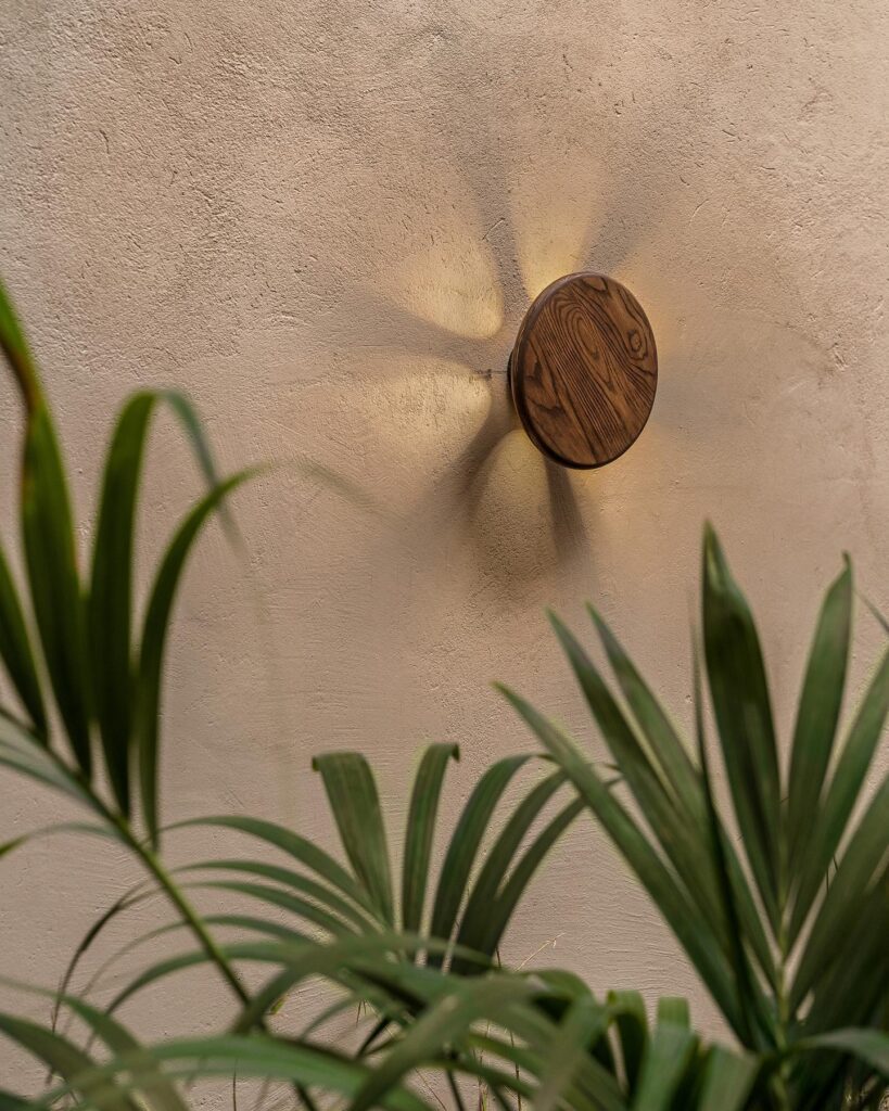 A Wooden Knob On A Textured Wall With Lush Green Plants In The Foreground