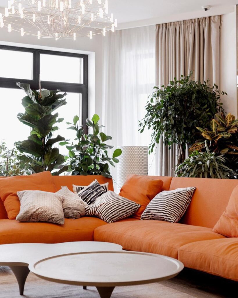 Cozy Living Room With Orange Sofa And Lush Greenery