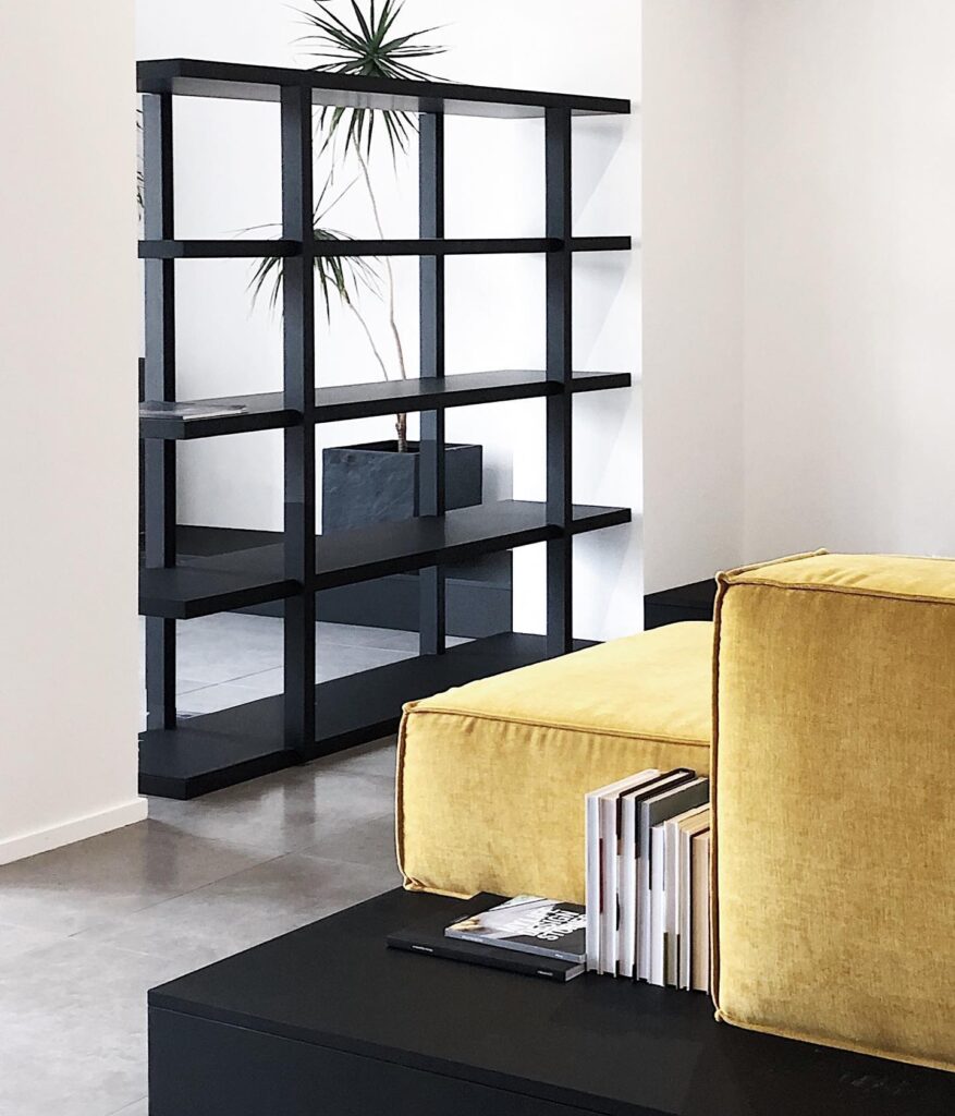 Modern Minimalist Shelving Unit with Decorative Plant